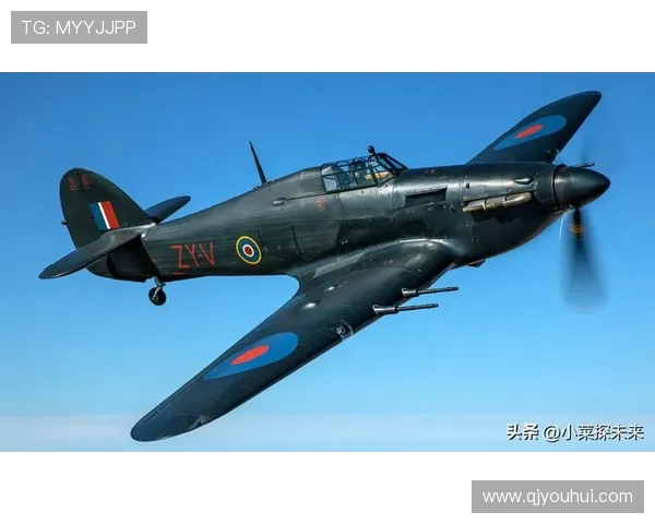 世界大战2之新的进攻:重塑战场,定义未来